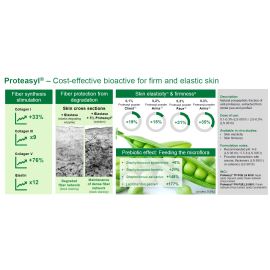 Pisum Sativum (extrakt z hrachu), PROTEASYL (1)