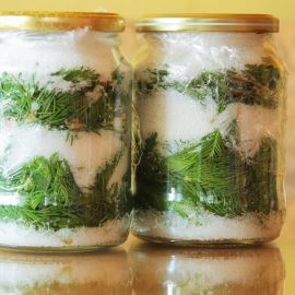 Smrkový sirup na rýmu a kašel, a tinktura na bolavé nohy od Zdeničky