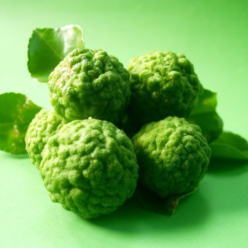 Bergamot Calabrian